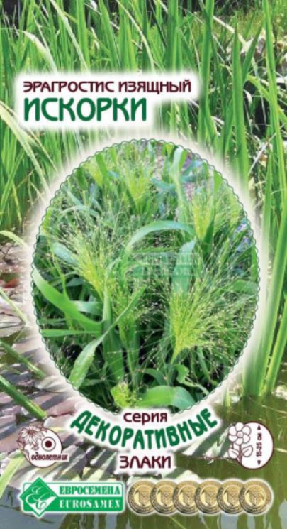 Эрагростис_Искорки (Декоративные Злаки)_0,1_г._ЕВРОСЕМЕНА