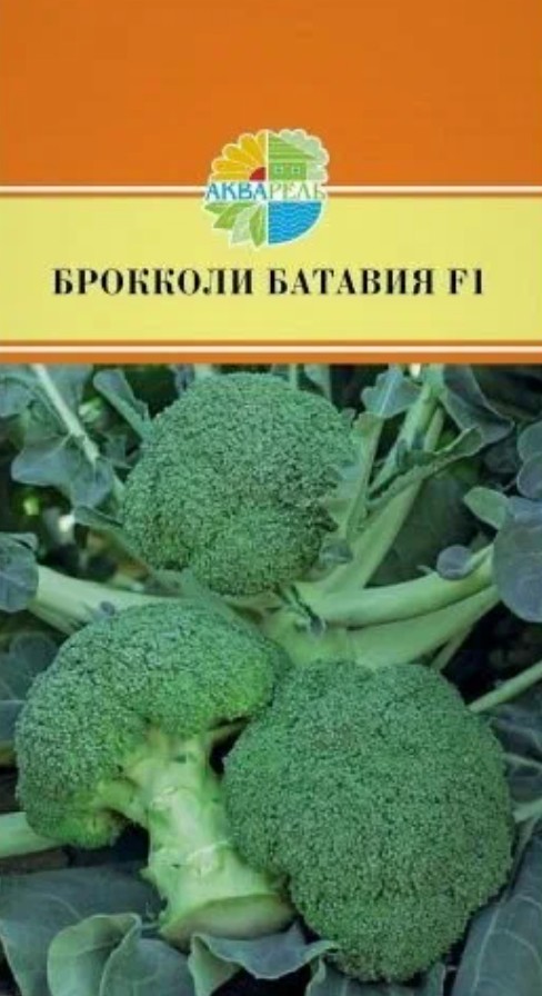 Капуста_брокколи_Батавия F1_15_шт._Акварель