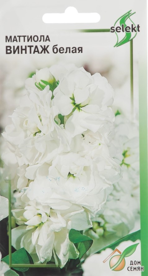 Левкой (маттиола)_Винтаж Белая_0,04_шт._Дом Семян С-П