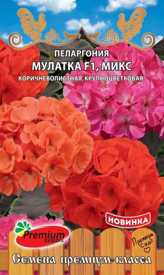 Герань (Пеларгония)_Мулатка F1 микс_5_шт._Премиум Сидс