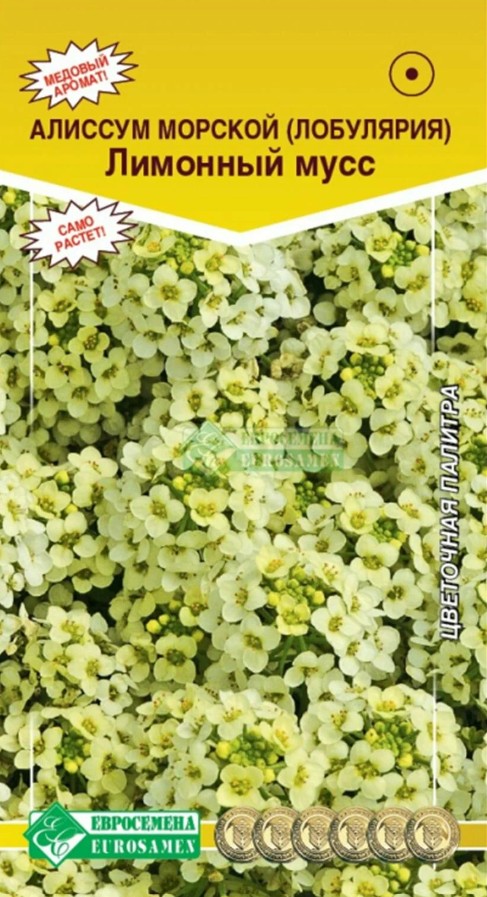 Алиссум (лобулярия)_Лимонный Мусс (Цветочная Палитра	)_0,05_г._ЕВРОСЕМЕНА