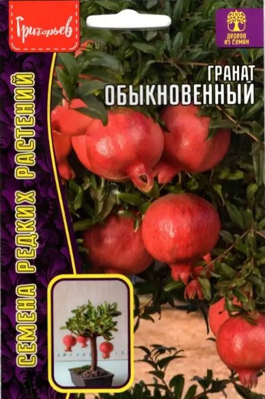 Гранат_Обыкновенный б/ф_10_шт._Григорьев