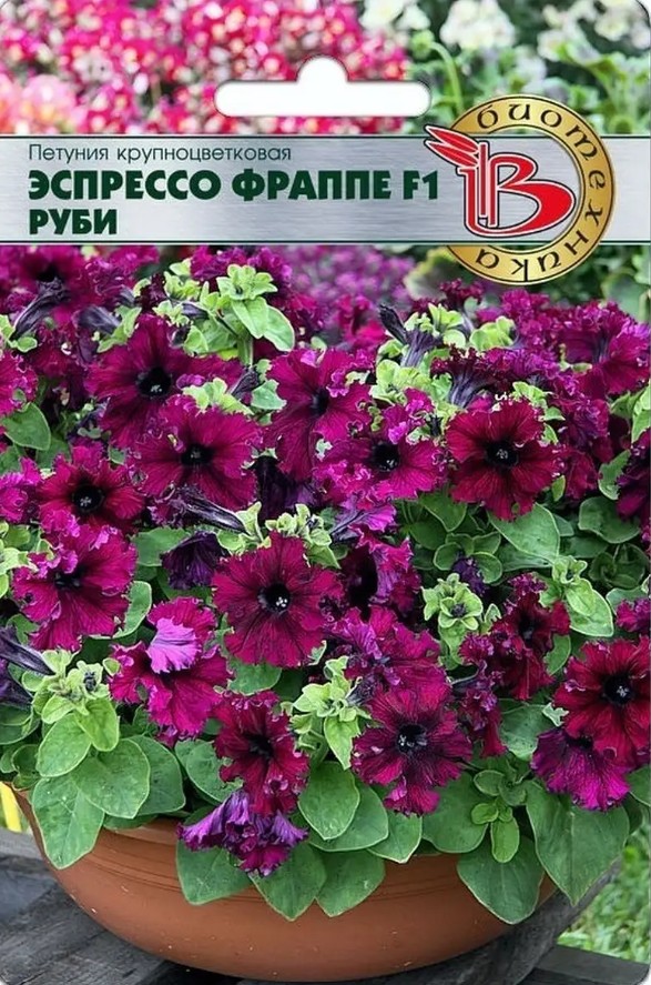 Петуния_Эспрессо Фраппе F1 Руби (бахромчатая)_8_шт._Биотехника