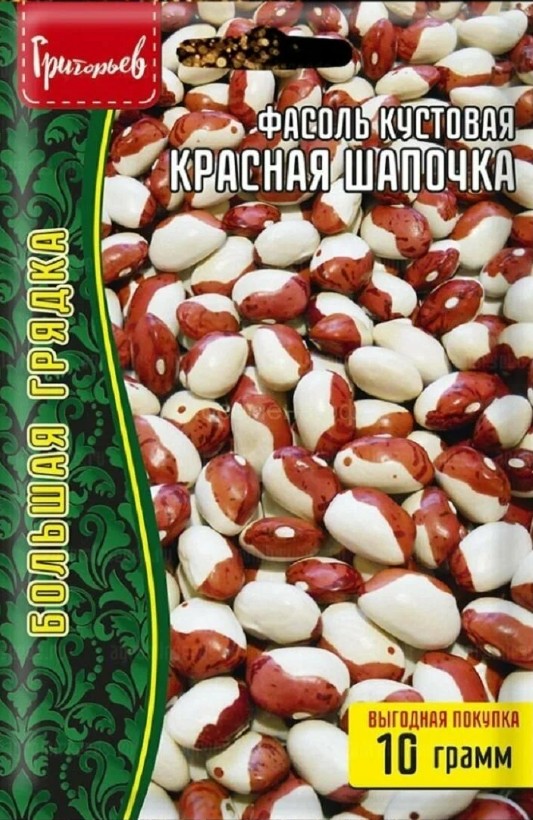 Фасоль_Красная шапочка (куст, зерновая) б/ф_10_г._Григорьев
