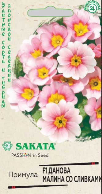 Примула_Данова F1 Малина со Сливками (бесстебельная) (Sakata)_0,04_шт._Гавриш