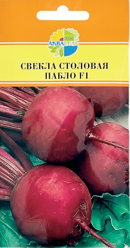 Свекла_Пабло F1_0,5_г._Акварель