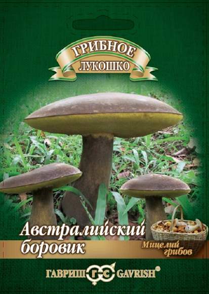 Мицелий_Боровик Австралийский на зерновом субстрате_15_мл._Гавриш