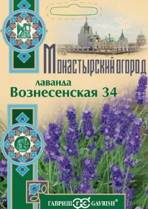 Лаванда_Вознесенская 34 (Монастырский огород) б/ф_0,04_г._Гавриш