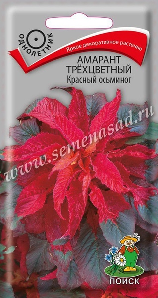 Амарант_Красный осьминог (трехцветный)_0,1_г._Поиск