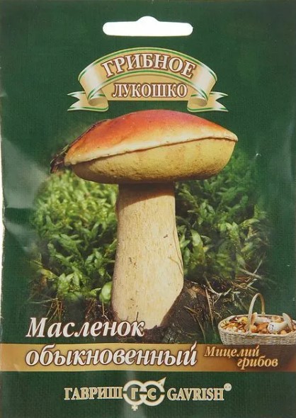 Мицелий_Масленок на зерновом субстрате б/ф_15_мл._Гавриш