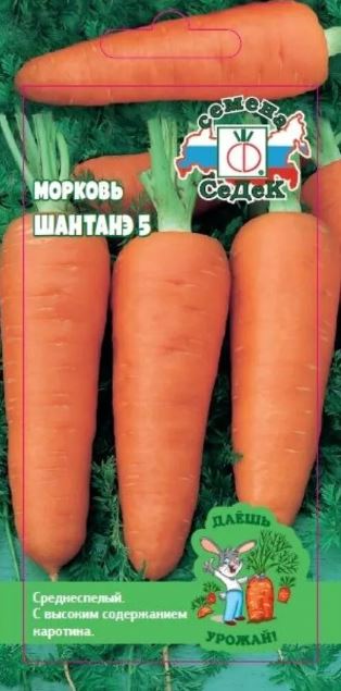Морковь_Шантанэ №5_0,04_г._Седек
