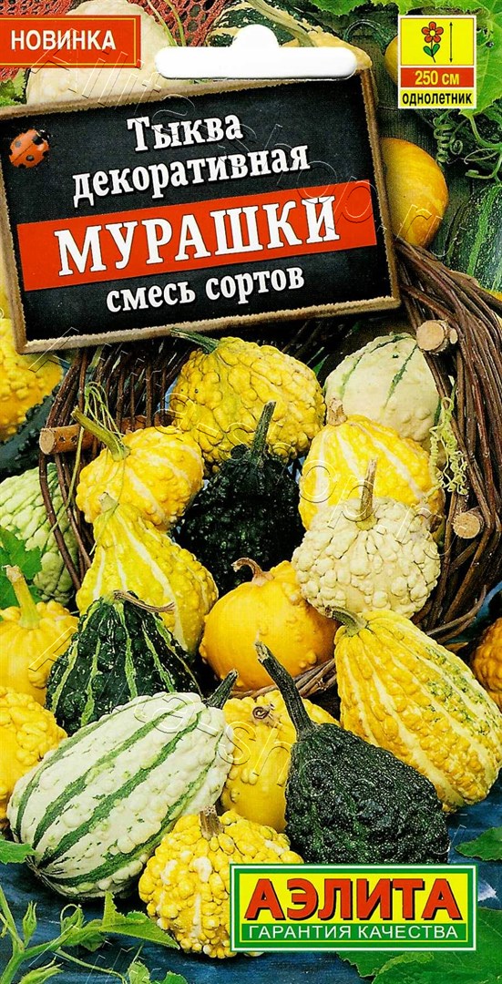 Тыква декоративная_Мурашки см_1_г._Аэлита