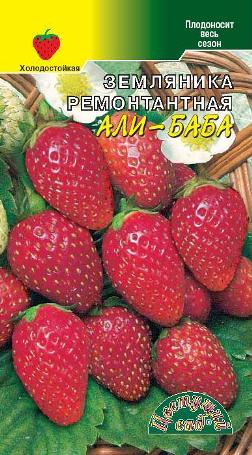 Земляника_Али-Баба_0_г._Цветущий Сад