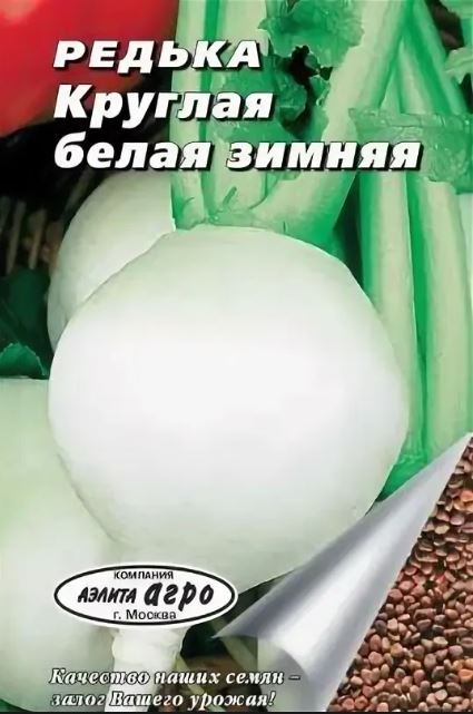 Редька_Зимняя кругл белая_0,04_г._Аэлита Э