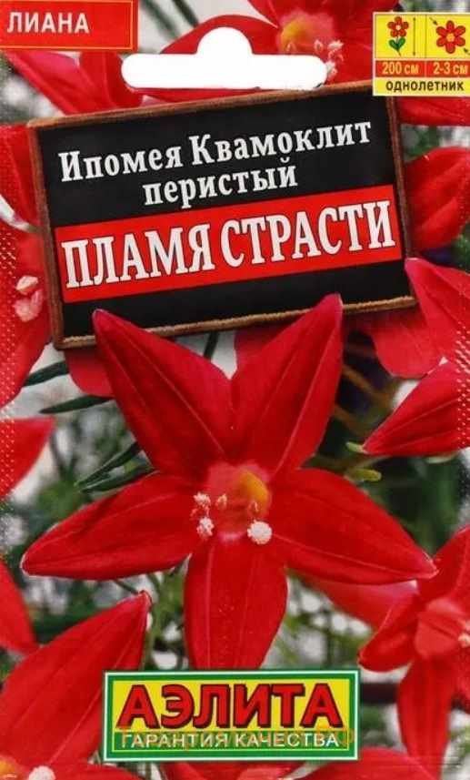 Ипомея_Пламя Страсти (лидер) (квамоклит)_0,04_шт._Аэлита