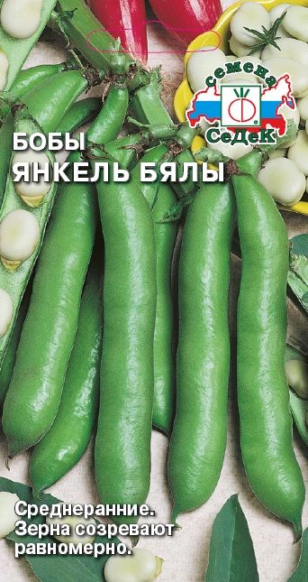 Бобы_Янкель Бялы_10_г._Седек