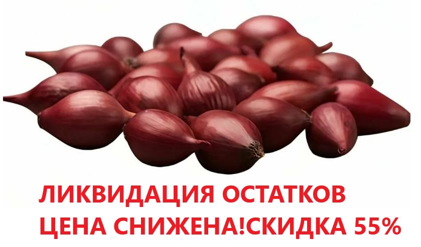 РЭДРЕЙ 14-21 мм ЦЕНА СНИЖЕНА! СКИДКА 55%!!!