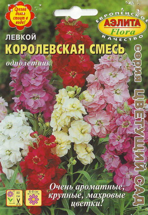 Левкой (маттиола)_Королевская см_0,1_г._Аэлита Э