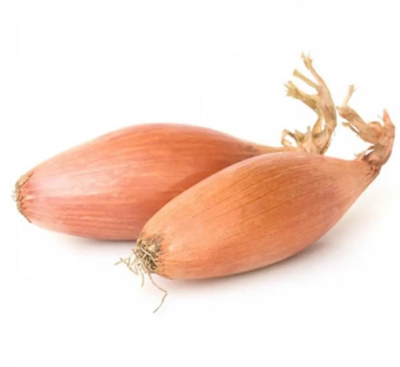 БАМБЕРГЕР 8-21 мм