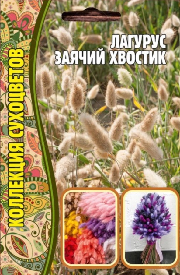 Лагурус_Заячий хвостик (злак) б/ф_100_шт._Григорьев