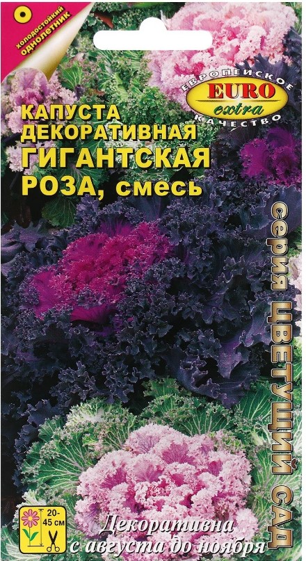 Капуста_декоративная_Гигантская роза см_0,1_г._Аэлита Э