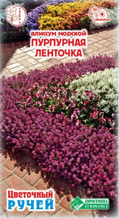 Алиссум (лобулярия)_Пурпурная Ленточка (морской) (Цветочный ручей)_0,04_шт._ЕВРОСЕМЕНА