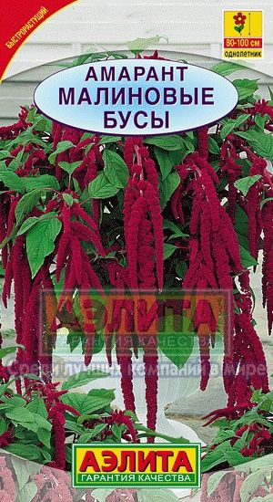 Амарант_Малиновые бусы (хвостатый)_0,2_г._Аэлита