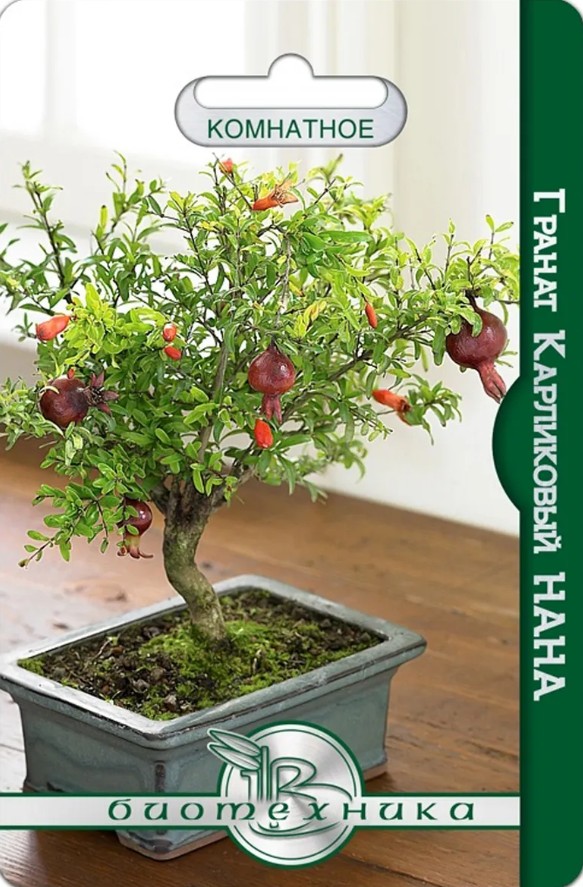 Гранат_карликовый Нана_5_шт._Биотехника