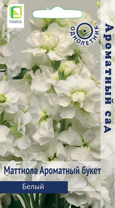 Левкой (маттиола)_Ароматный букет Белый (Ароматный сад)_0,04_г._Поиск