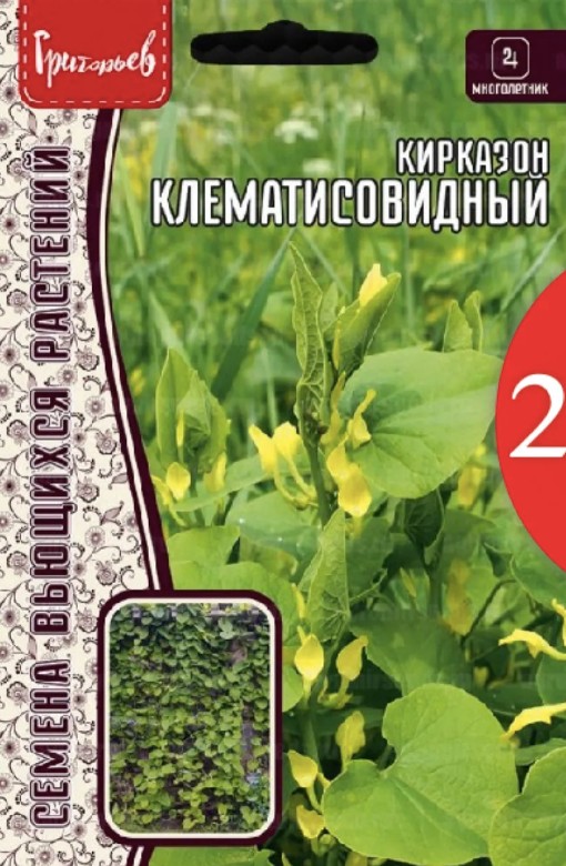 Кирказон_Клематисовидный б/ф_3_шт._Григорьев