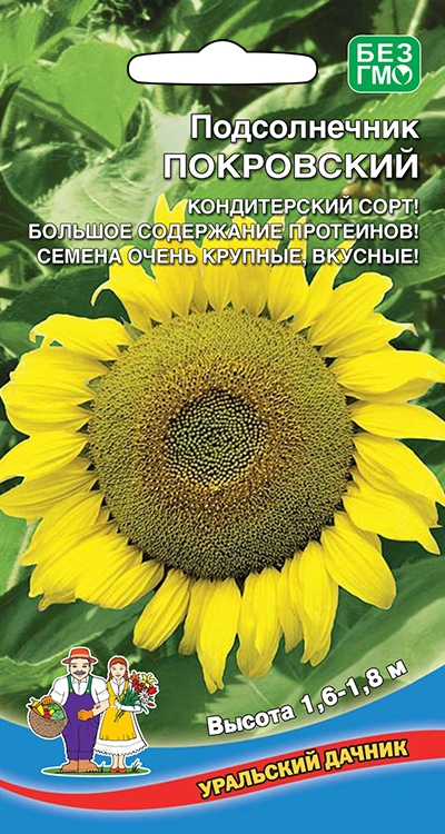 Подсолнечник_Покровский_5_г._Уральский Дачник