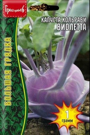 Капуста_кольраби_Виолетта б/ф_1_г._Григорьев