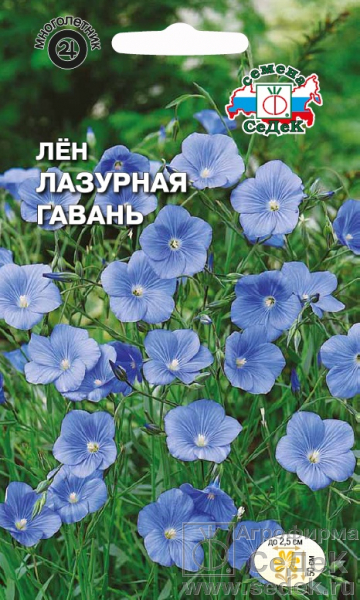 Лен_Лазурная Гавань_0,5_г._Седек