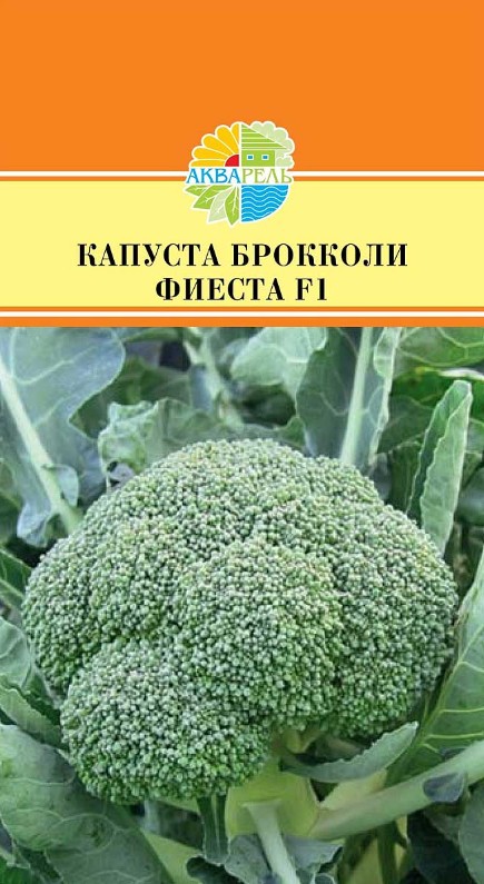 Капуста_брокколи_Фиеста F1 (ср/ран)_15_шт._Акварель