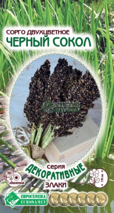 Сорго_Черный Сокол (Декоративные Злаки)_0,04_г._ЕВРОСЕМЕНА