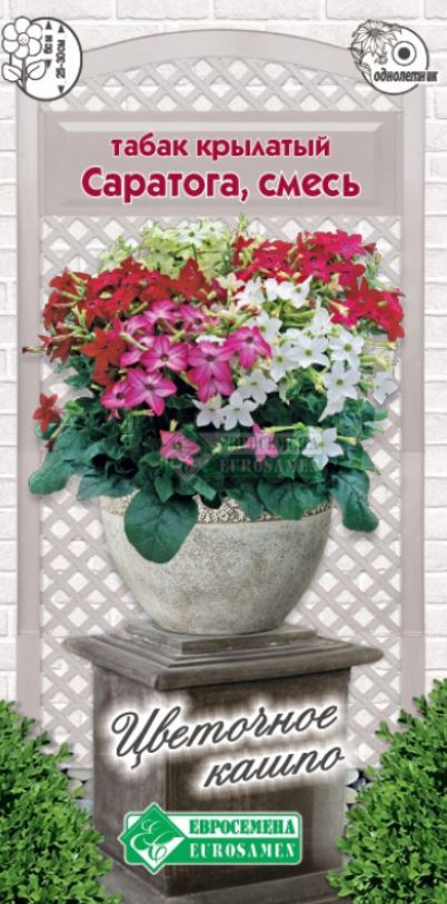 Табак душистый_Саратога см (Цветочное Кашпо)_0,04_шт._ЕВРОСЕМЕНА
