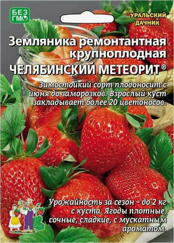Земляника_Челябинский Метеорит (кл) б/ф_0,04_шт._Уральский Дачник
