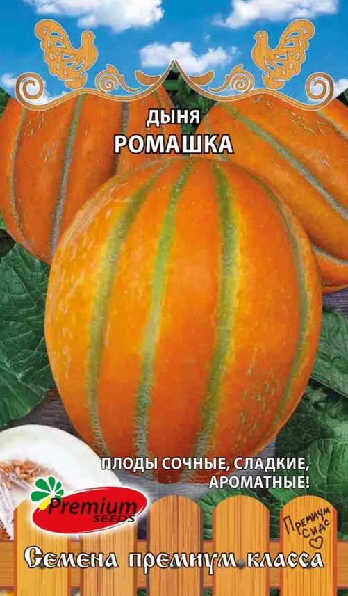 Дыня_Ромашка_5_шт._Премиум Сидс