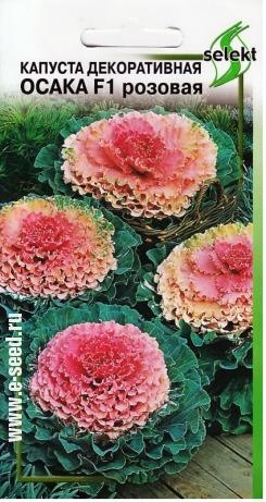 Капуста_декоративная_Осака розовая F1_10_шт._Дом Семян С-П