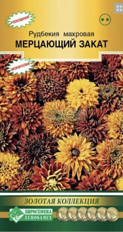 Рудбекия_Мерцающий Закат (махр) (Золотая Коллекция)_0,04_г._ЕВРОСЕМЕНА
