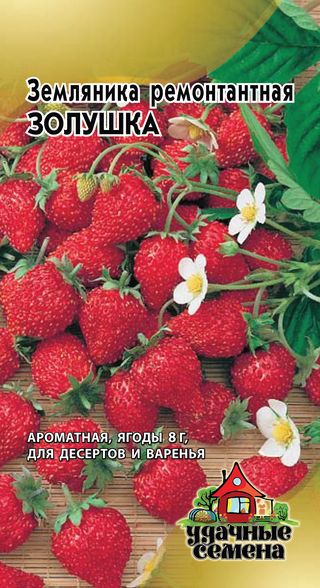 Земляника_Золушка (Удачные семена)/_0_г._Гавриш