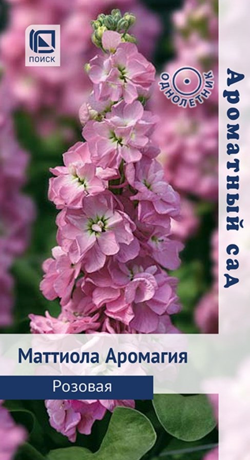 Левкой (маттиола)_Аромагия Розовая (Ароматный сад)_0,04_г._Поиск