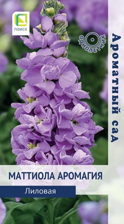 Левкой (маттиола)_Аромагия Лиловая (Ароматный сад)_0,04_г._Поиск