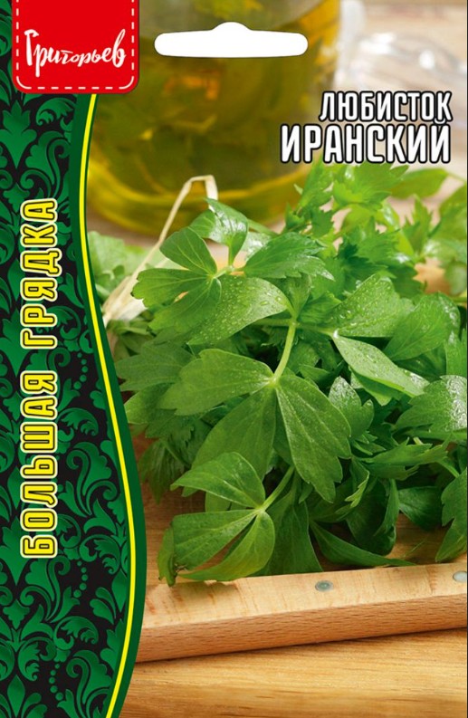 Любисток_Иранский б/ф_0,2_г._Григорьев