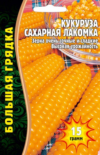 Кукуруза_Сахарная лакомка б/ф_15_г._Григорьев