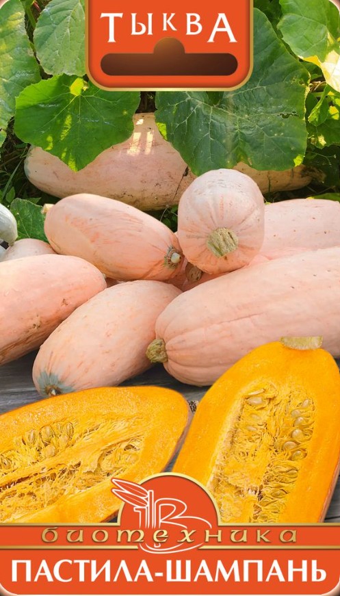 Тыква_Пастила Шампань Ванильная_5_шт._Биотехника