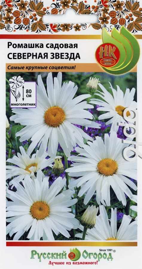 Нивяник_Ромашка Северная Звезда_0,04_г._НК