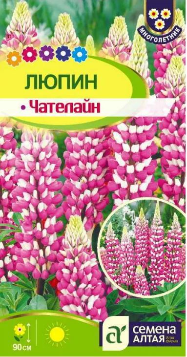 Люпин_Чателайн_0,04_г._Семена Алтая