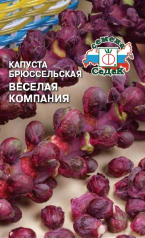 Капуста_брюссельская_Весёлая Компания (красная)_0,04_г._Седек