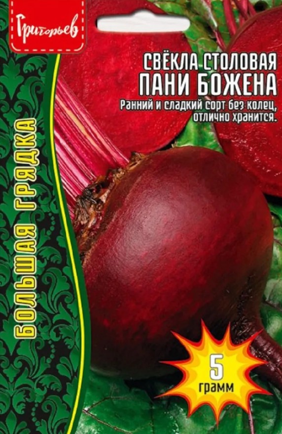 Свекла_Пани Божена б/ф_5_г._Григорьев